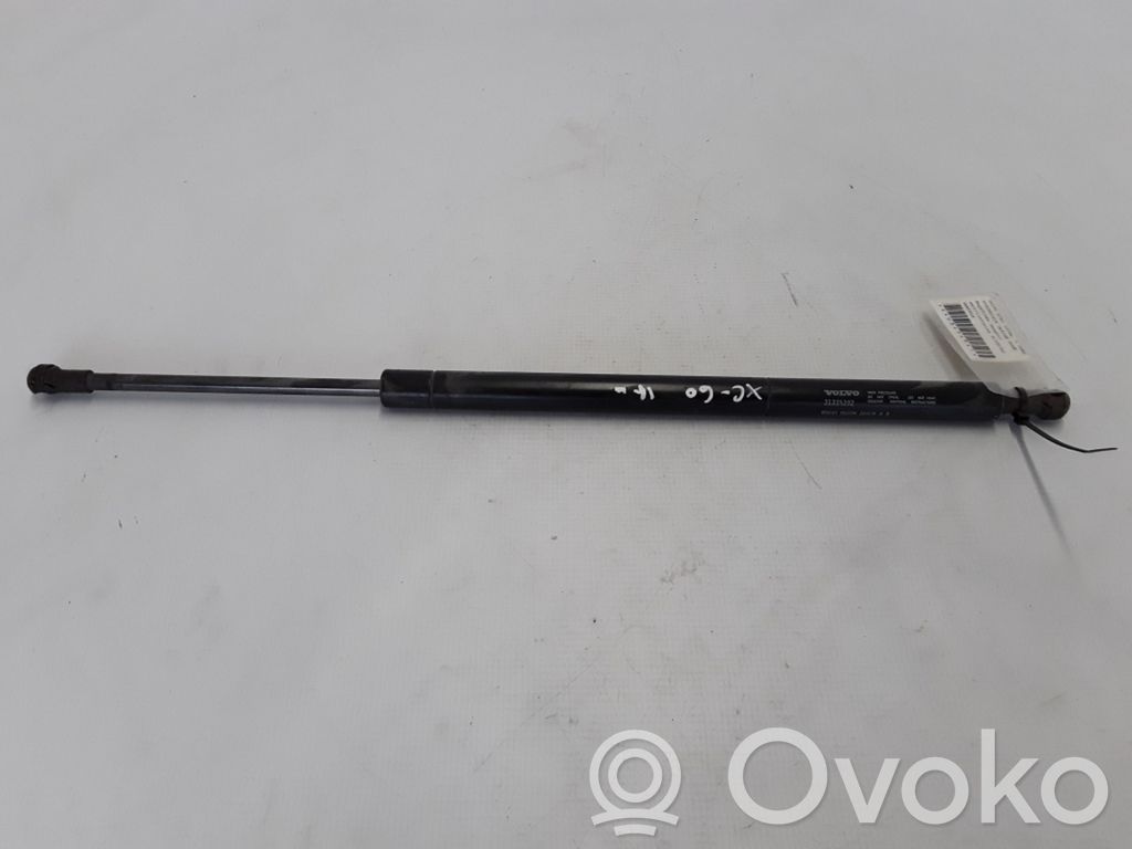Tailgate strut   31335392