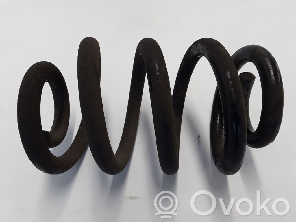 Front coil spring
