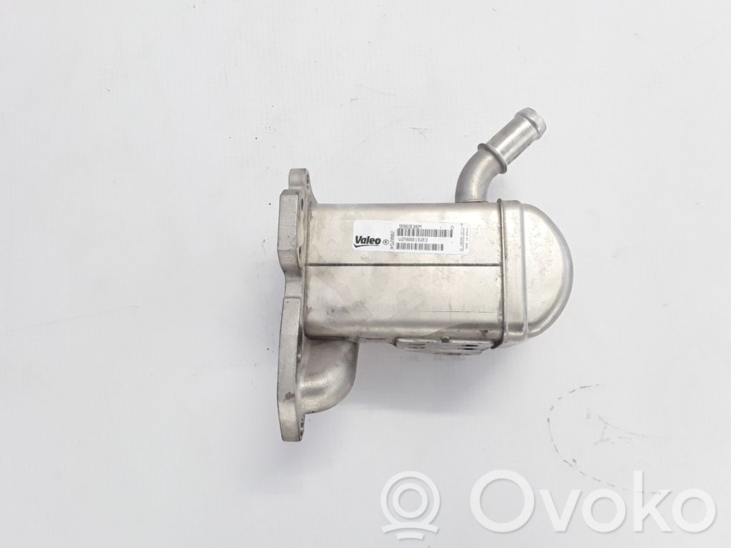 Renault Megane III EGR-venttiili/lauhdutin 