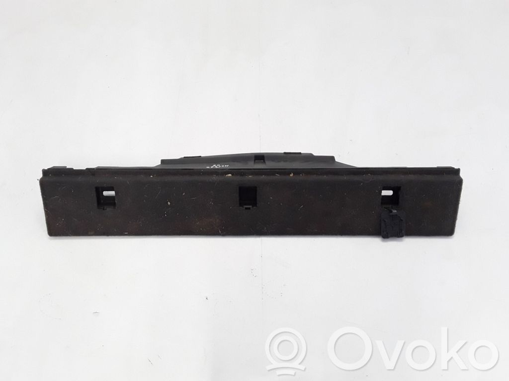 Renault Koleos I Tailgate/trunk side cover trim 