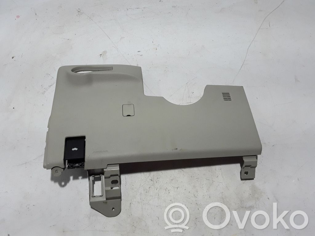 Chrysler Pacifica Panel trim 