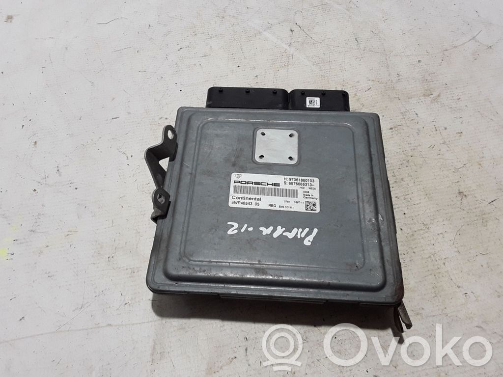 Porsche Panamera (970) Sterownik / Moduł ECU 