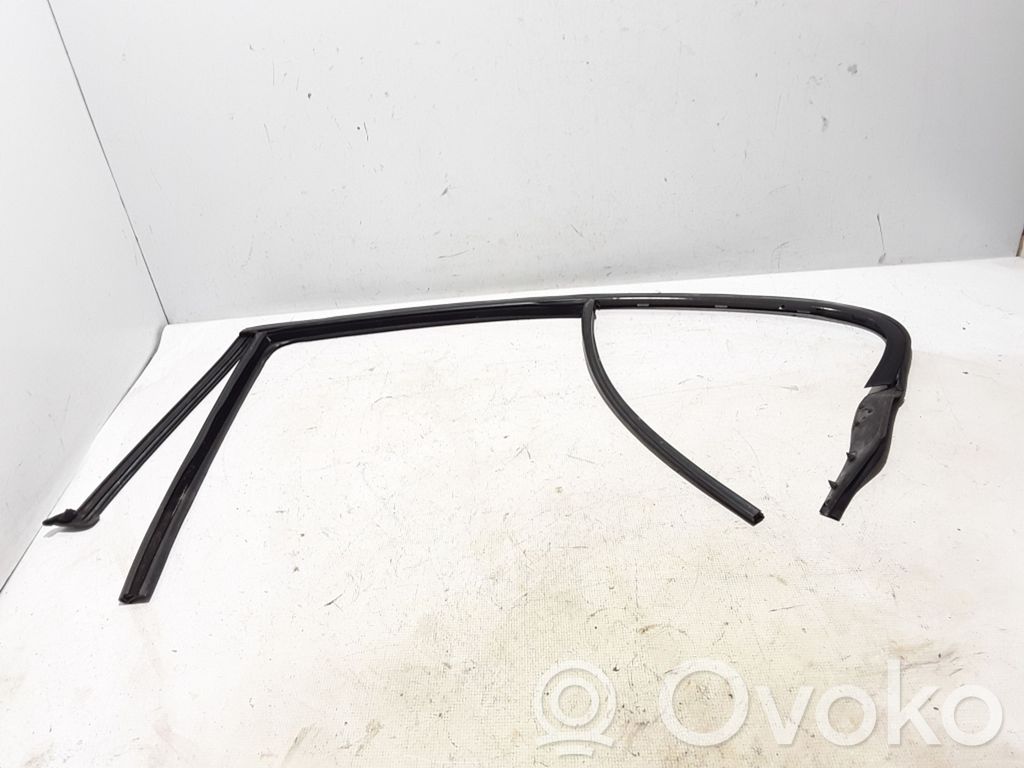 BMW 5 F10 F11 Cheder cauciuc ușă spate 