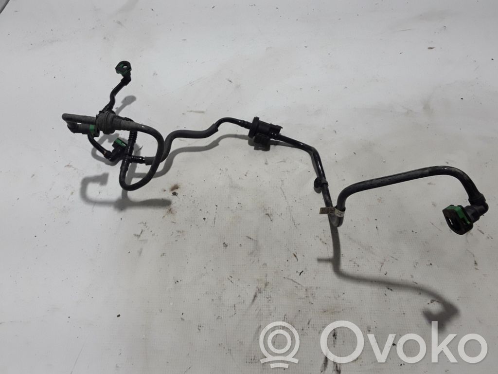 Ford Fiesta Conductă/furtun admisie aer 