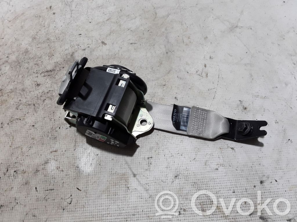 Cinturón trasero   31462759