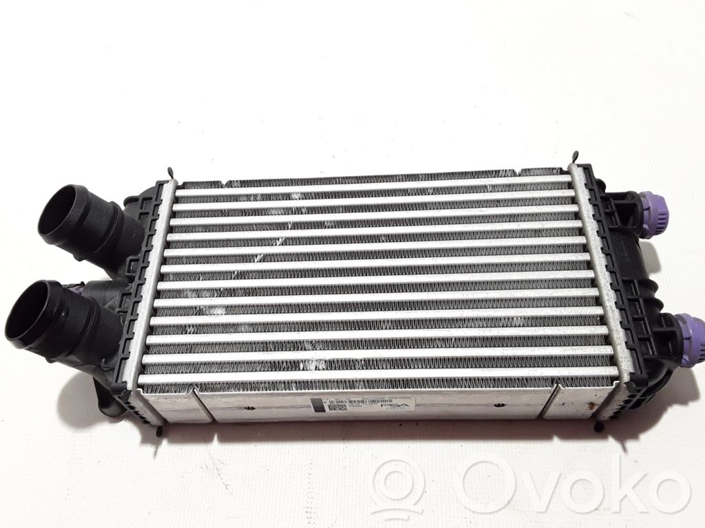 Radiatore intercooler   9824742280