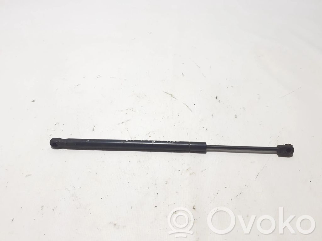 Tesla Model S Amortizor capotă motor 