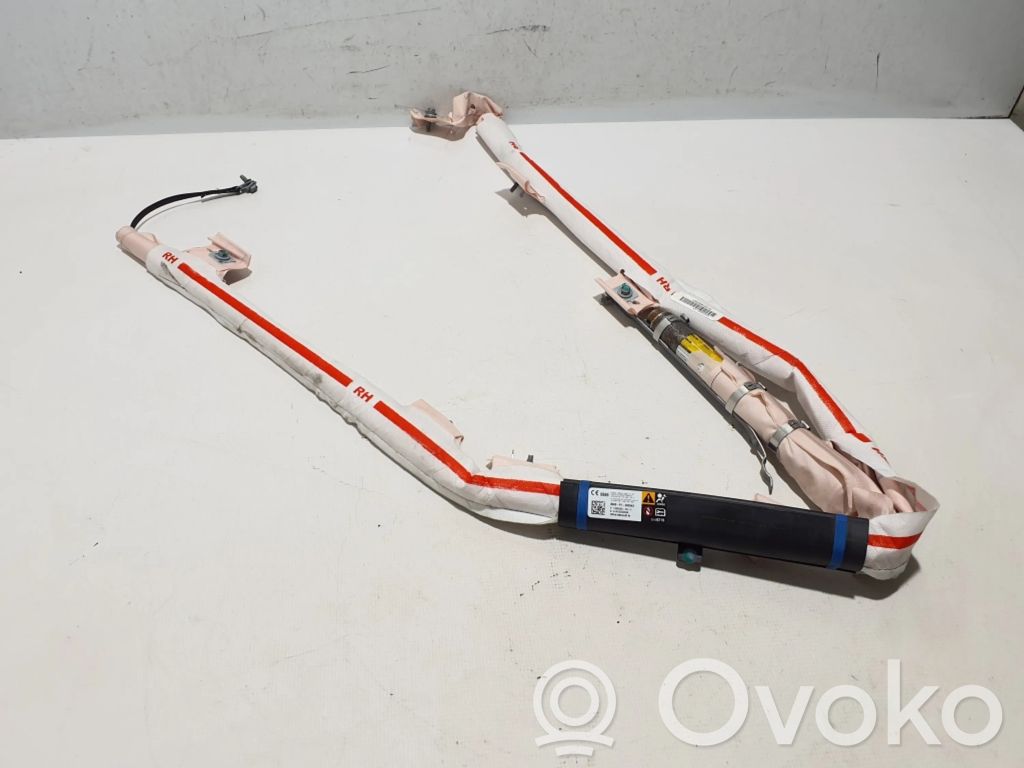 Tesla Model S Airbag cortină 