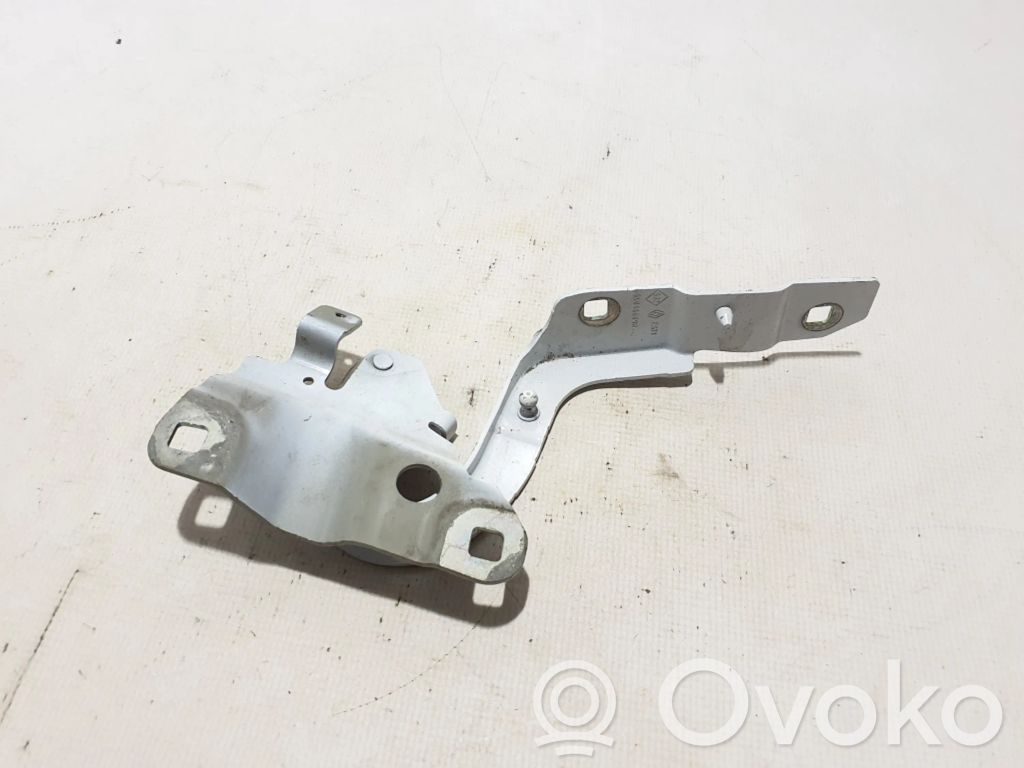 Renault Zoe Engine bonnet/hood hinges 