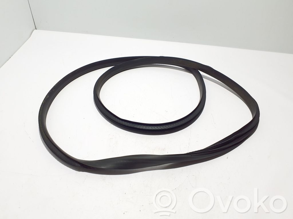 Renault Megane E-Tech Front door rubber seal 