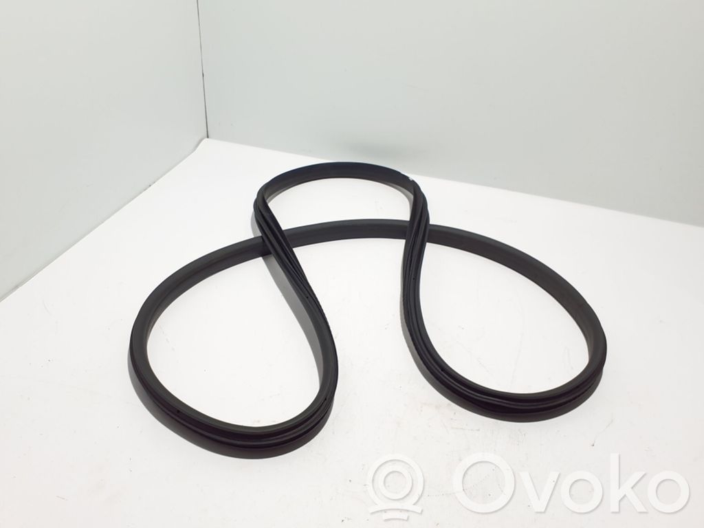 Renault Megane E-Tech Front door rubber seal 