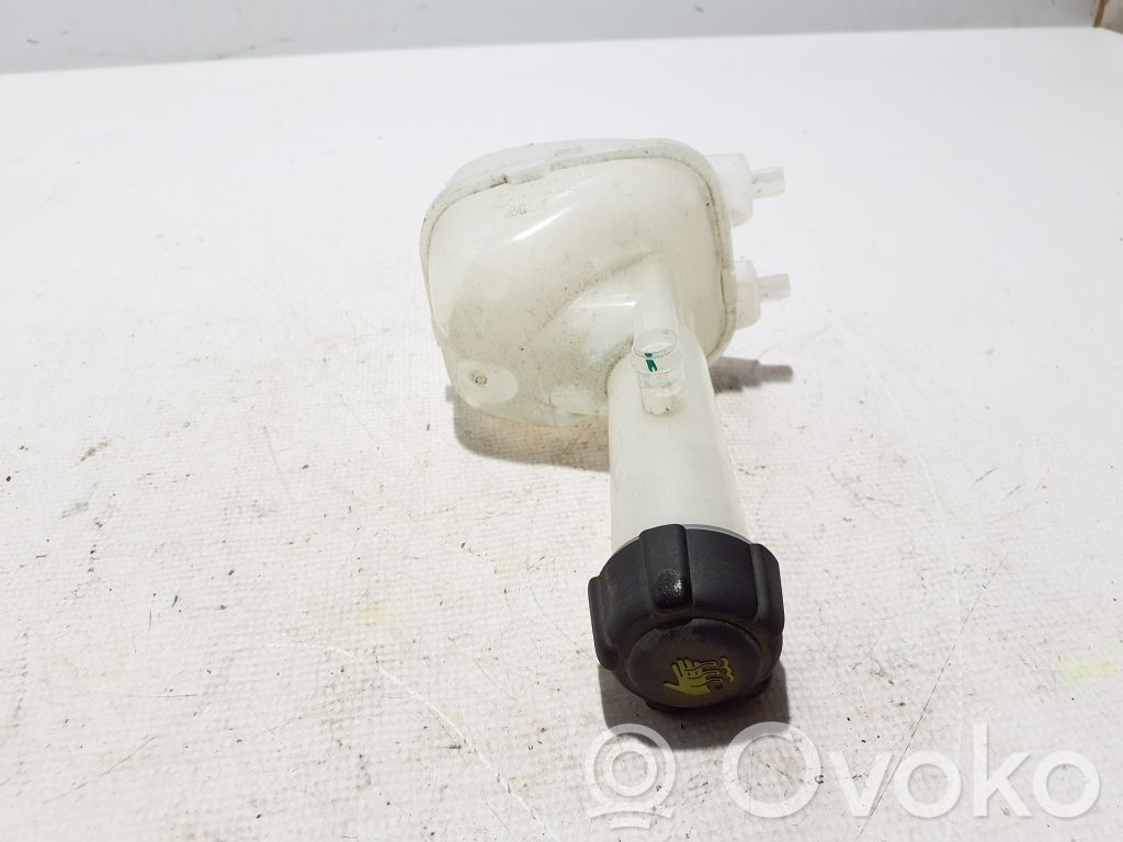 Renault Arkana Vas expansiune/rezervor lichid de răcire 