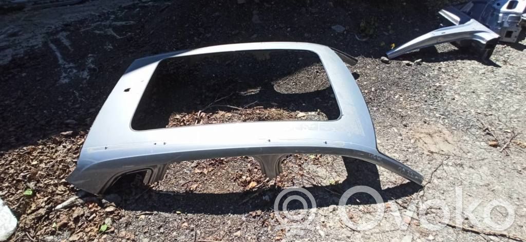Audi Q5 SQ5 FY Techo 