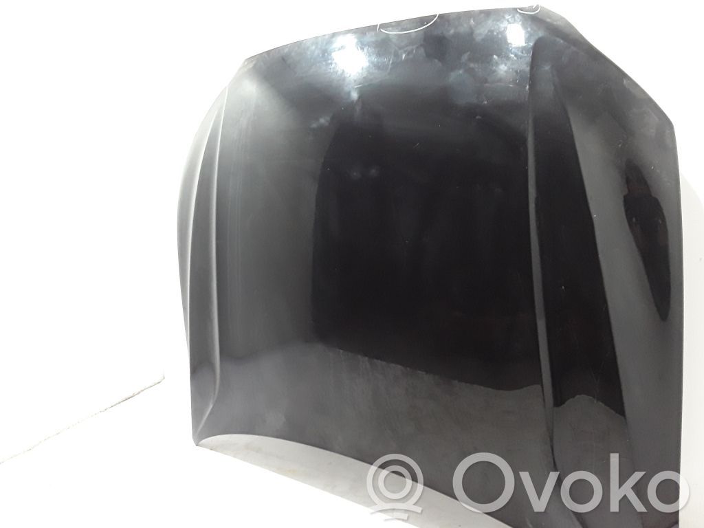 Vano motore/cofano   31424557