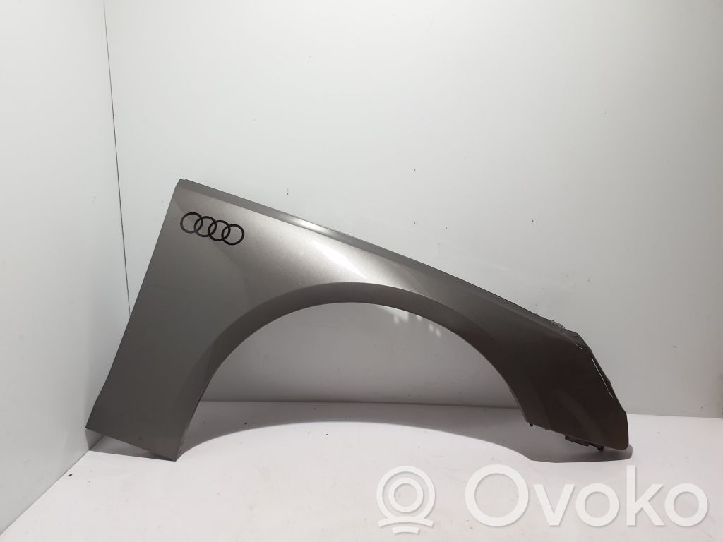 Audi A4 S4 B9 Guardabarro 