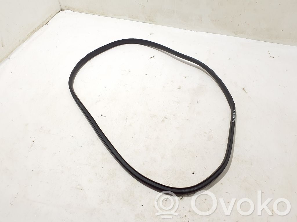 Renault Clio V Rear door rubber seal (on body) 