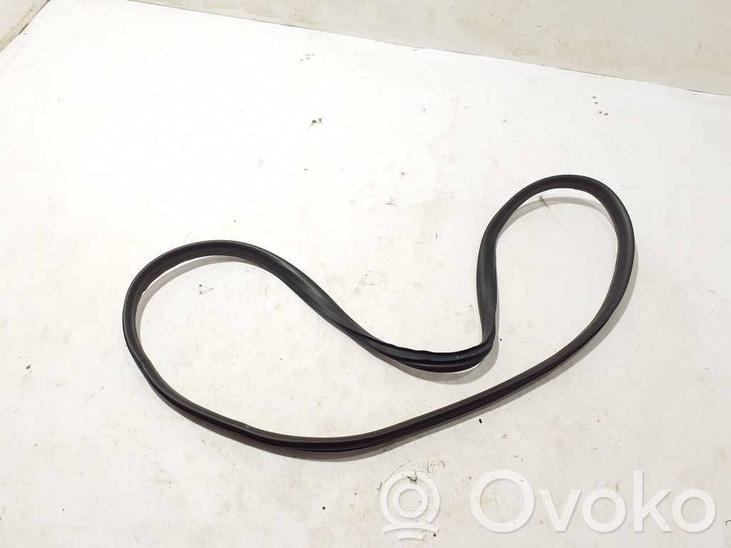 Renault Clio V Rear door rubber seal (on body) 