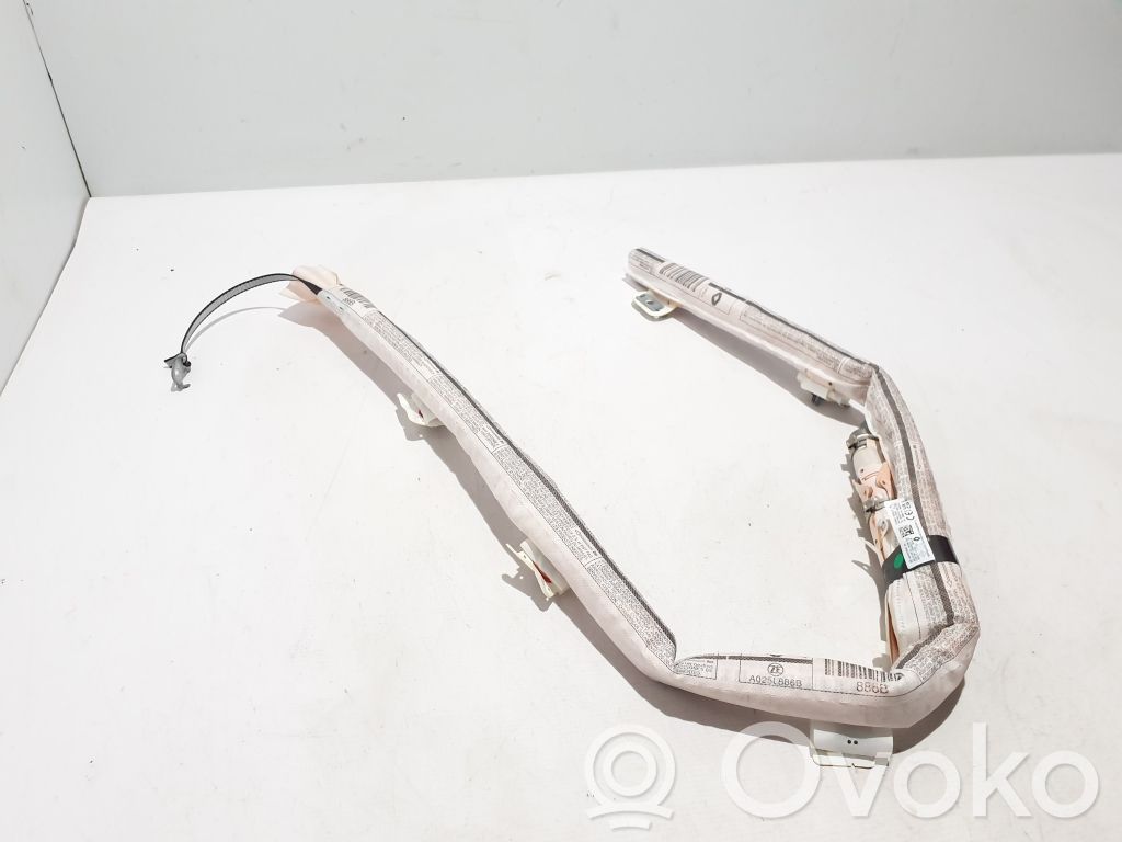 Airbag del techo   985P02493R