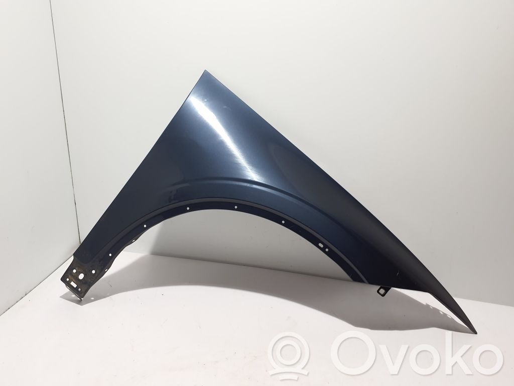 Polestar 2 Guardabarro 