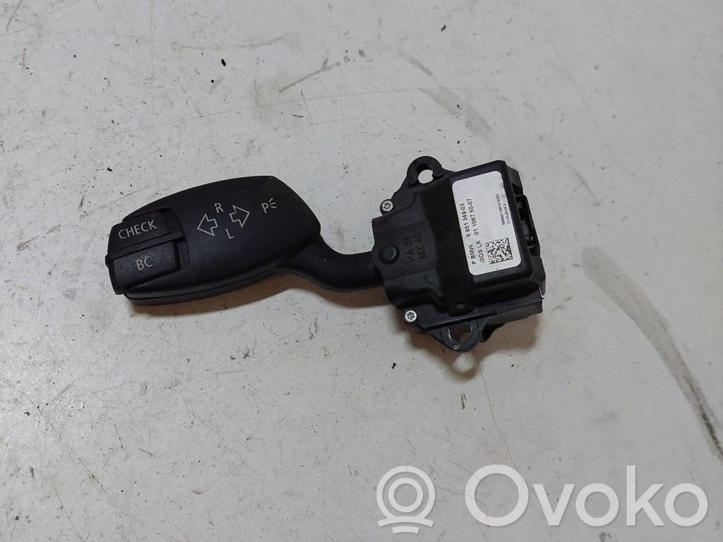 Indicator stalk   695134903