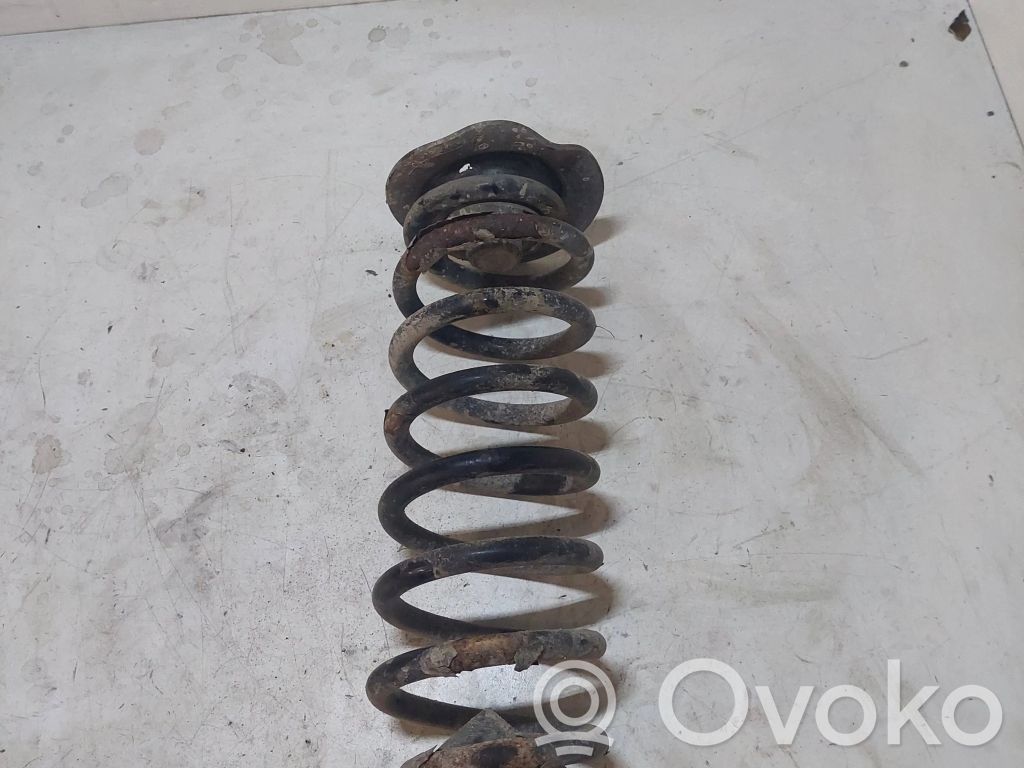Rear coil spring