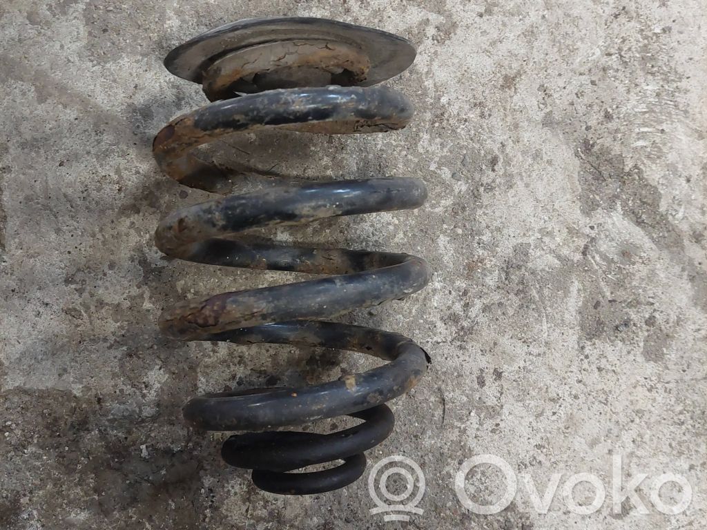 Rear coil spring