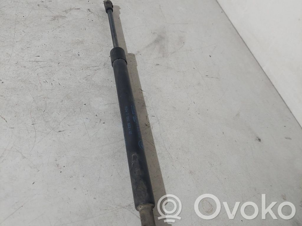 Tailgate/trunk strut/damper   51244365788