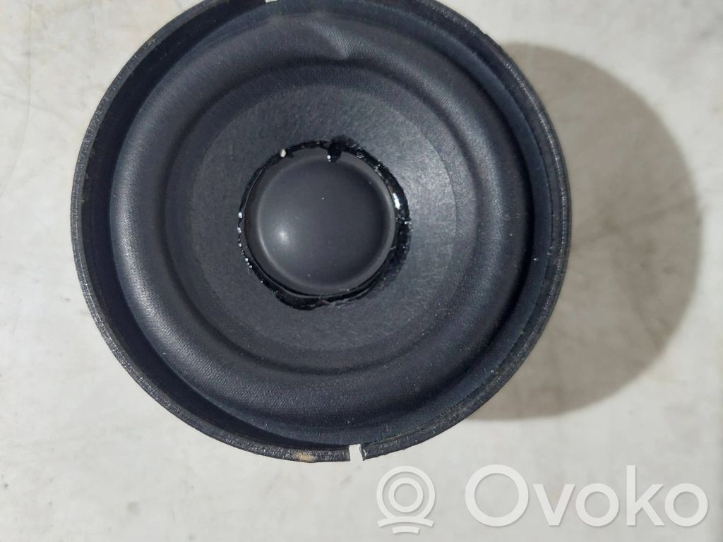 Panel speaker   6513693865701