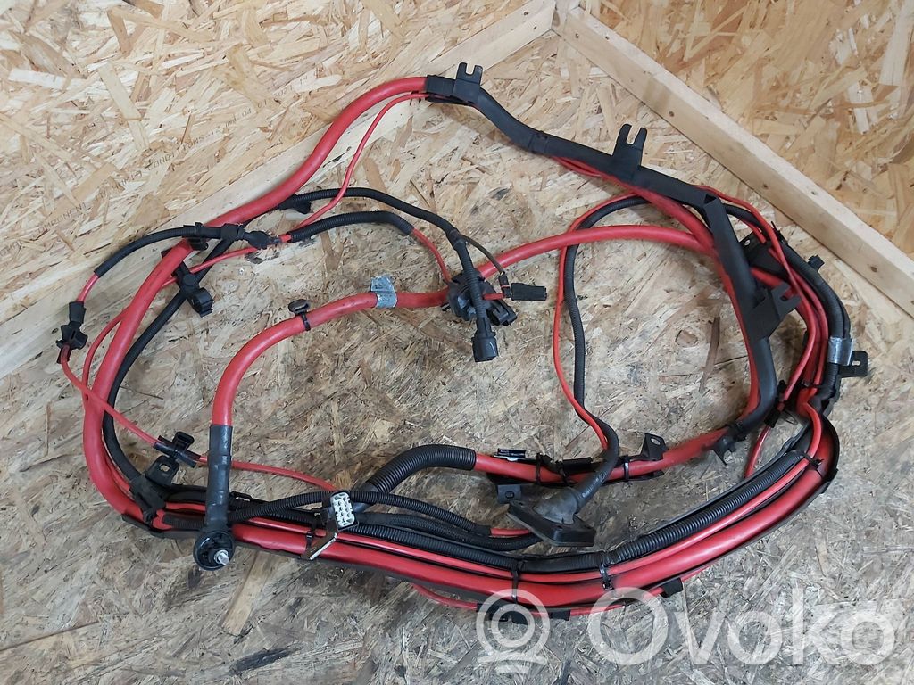 Plusa vads (akumulatora)   6941818