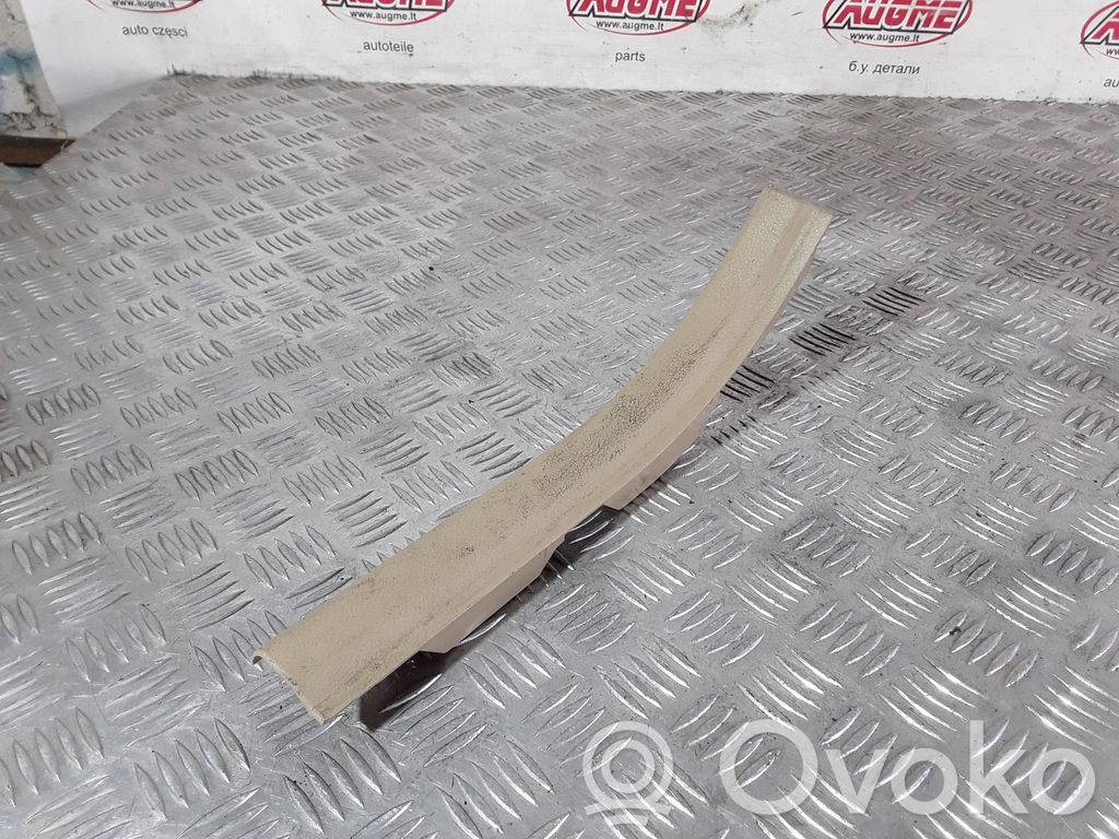 BMW X6 E71 Einstiegsleiste Zierleiste hinten 
