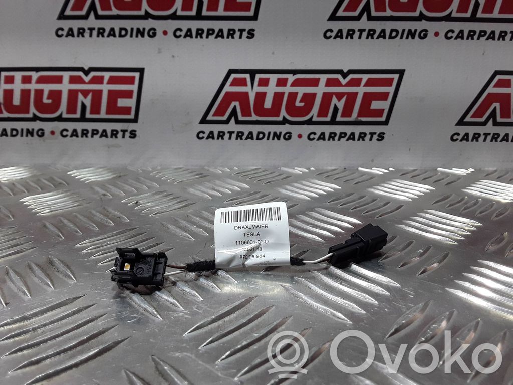 Luz interna puerta delantera   110660101D,8F008984,300118