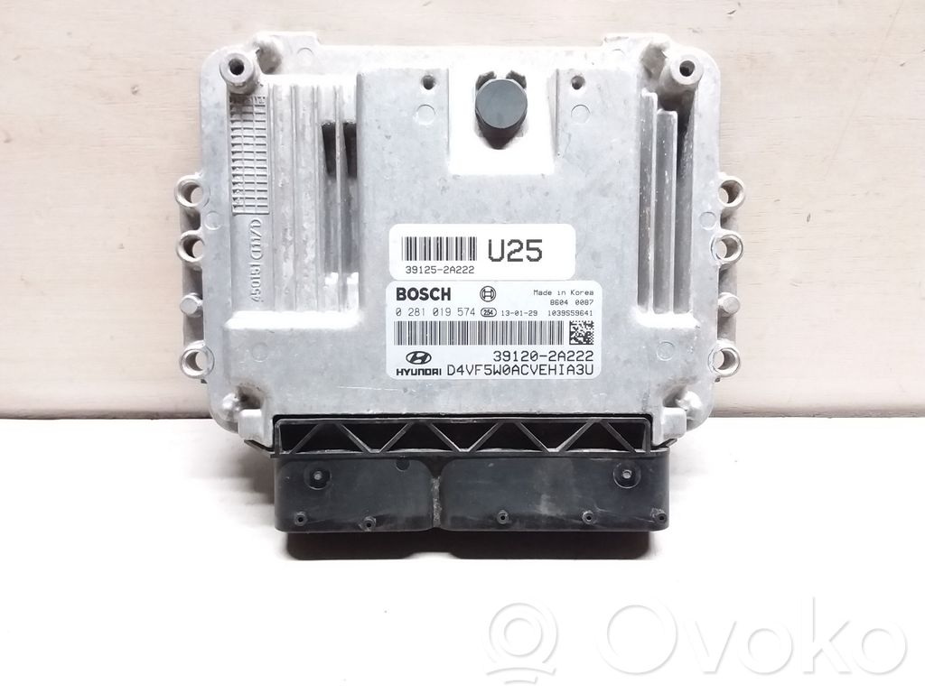 Engine control unit/module   0281019574,391202A222