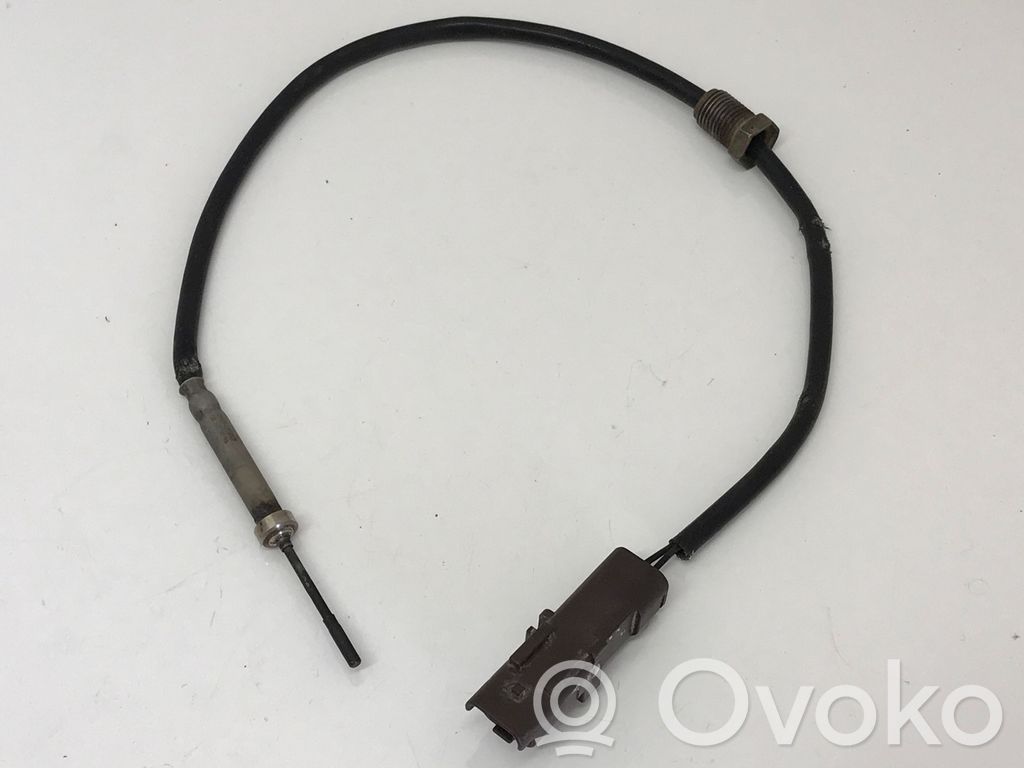 Citroen C5 Išmetamųjų dujų temperatūros daviklis 