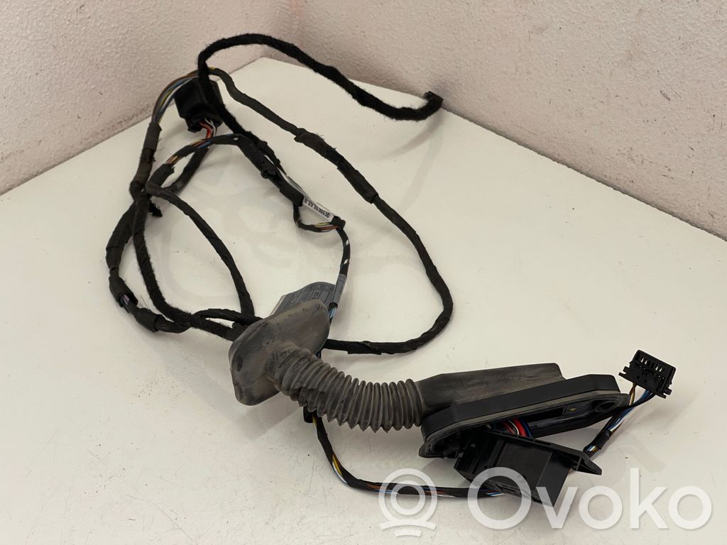 BMW 5 E60 E61 Cableado de puerta trasera 