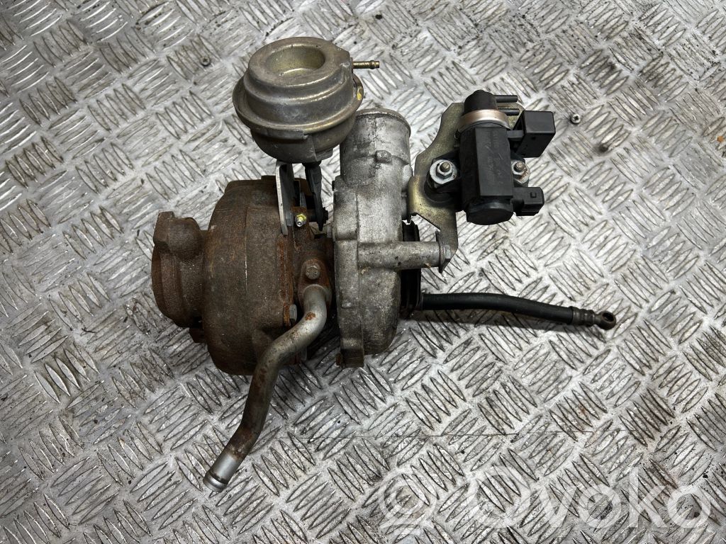 Turbo   7785991