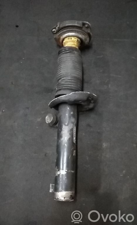 Volkswagen PASSAT B6 Front shock absorber/damper 
