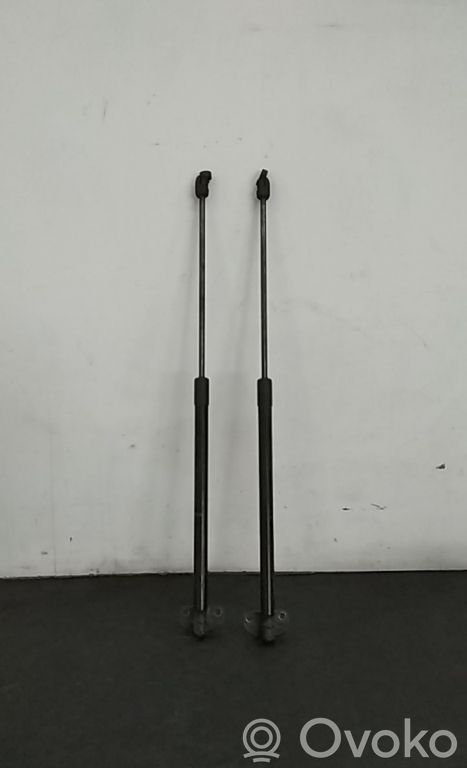 Tailgate/trunk strut/damper   DIREITO