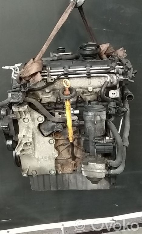 Engine   BKC