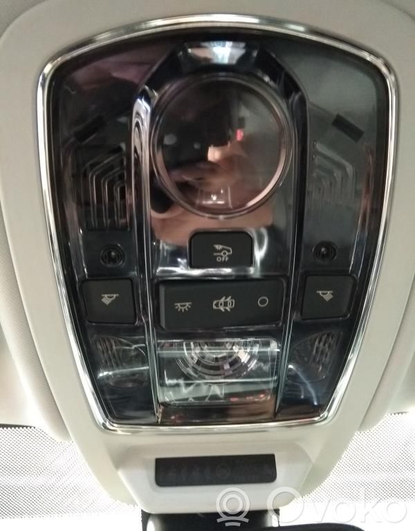 Headlining lighting console trim   98027660XT