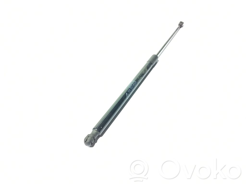 Tailgate/trunk strut/damper