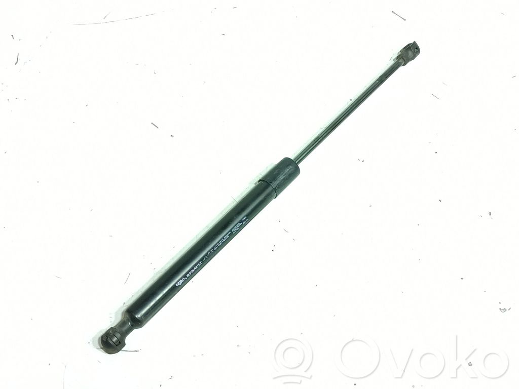 Tailgate/trunk strut/damper   844307620R,7000210537E0