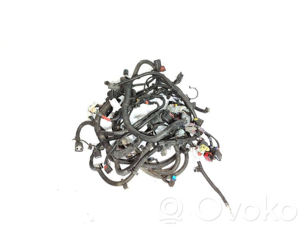 Engine installation wiring loom   D31296668004