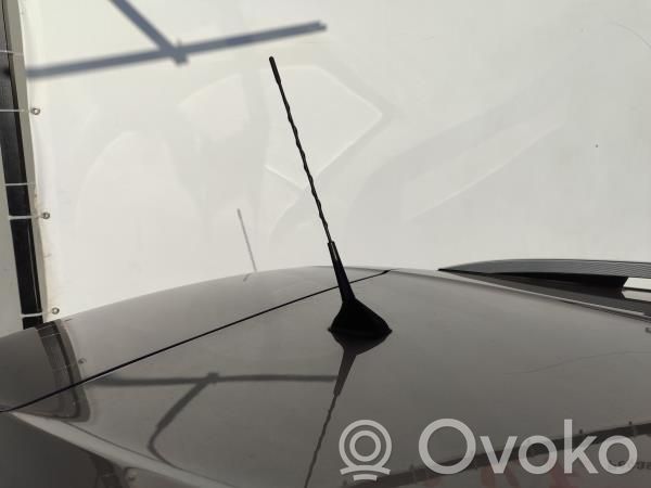Radion antenni