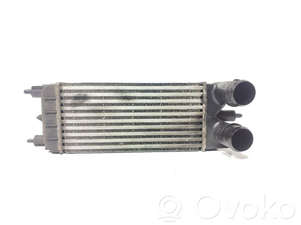 Intercooler radiator   P9684946380,M144207