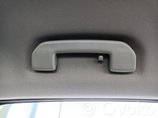 Front door interior handle   TRASESQUERDA