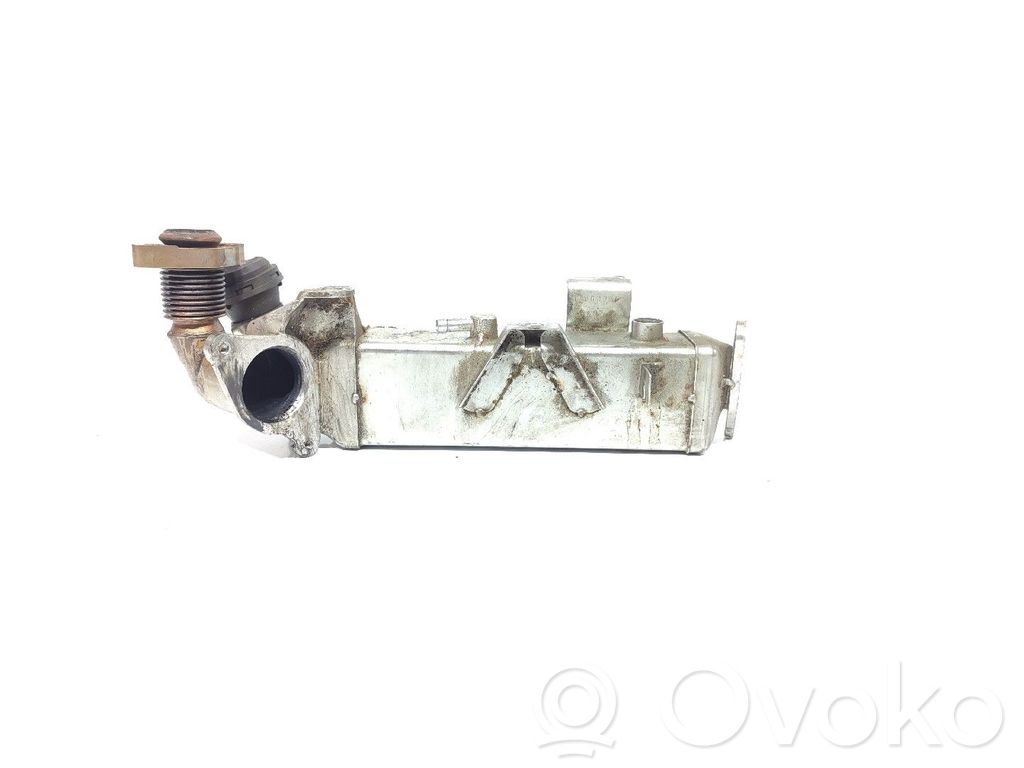 BMW 5 F10 F11 EGR aušintuvas 
