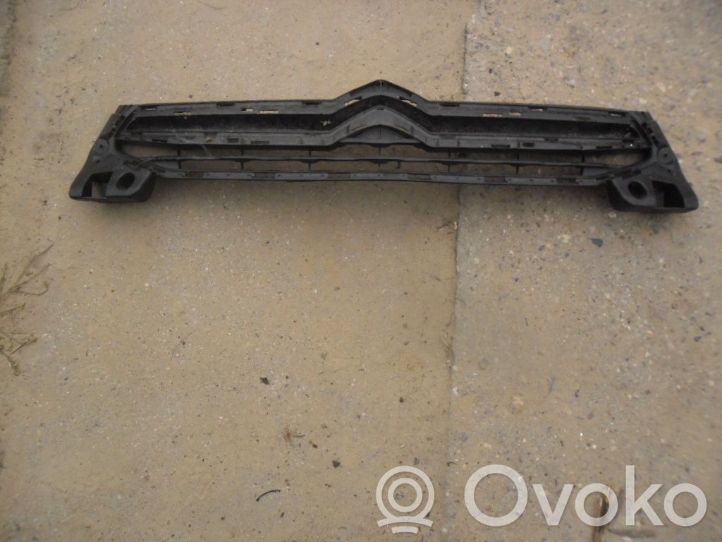 Front grill   C06291091