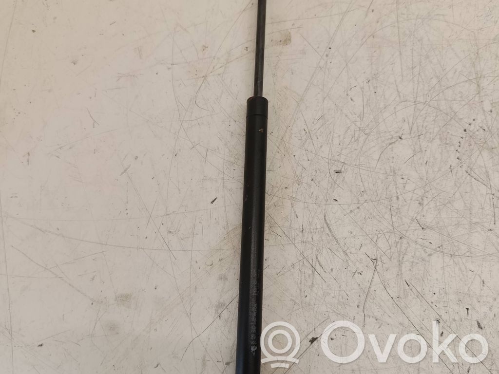 Citroen C5 Ammortizzatore portellone anteriore/cofano 