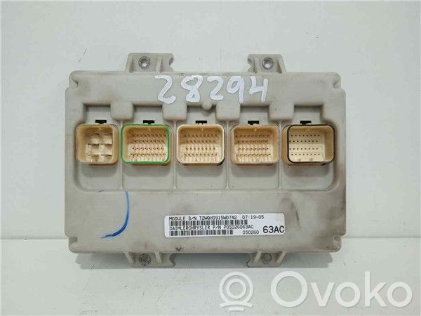 Engine control unit/module ECU   5026063AC