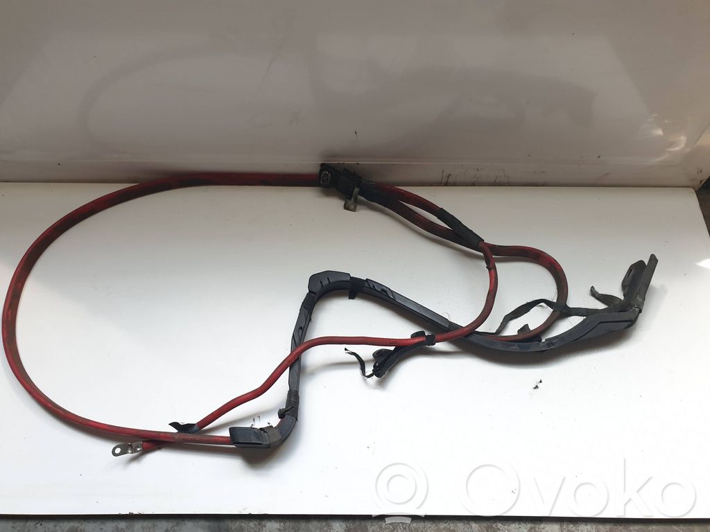 Positive cable (battery)   6927704,534039